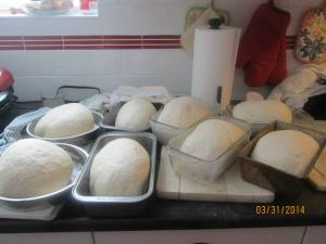 1511082_10152267190611702_1274681764_n